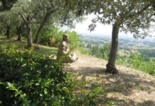 La Chiamata La Chiamata